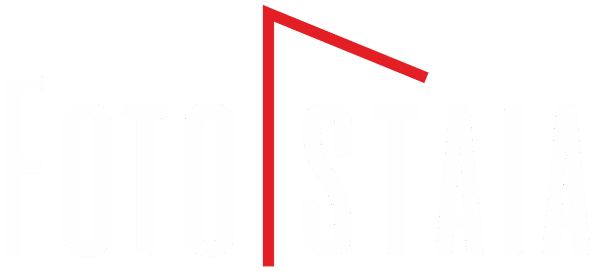 Фото стая